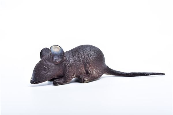 梦见大老鼠是什么意思