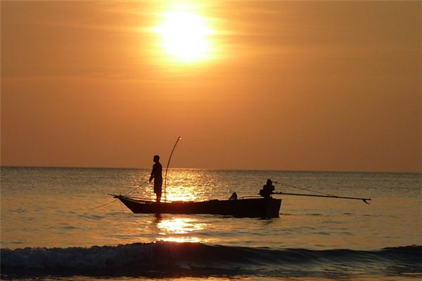 梦见抓鱼是什么意思吗是什么意思