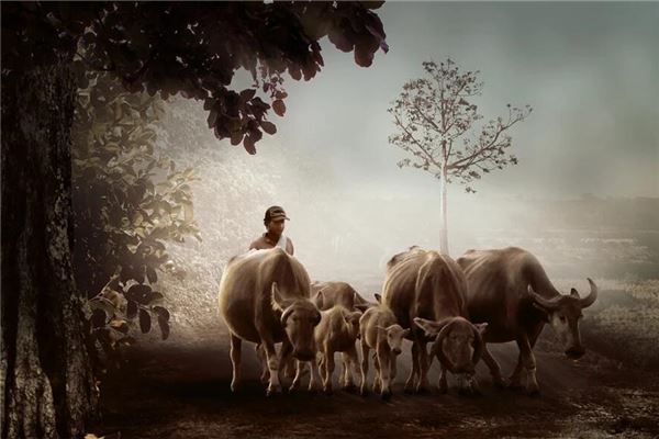 梦见牵着一头牛是什么意思