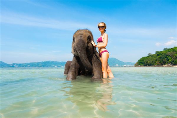 梦见女人小象是什么意思