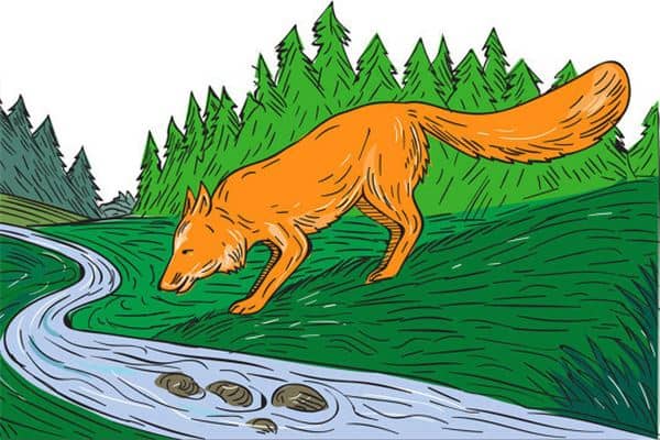 梦见火狐狸是什么意思