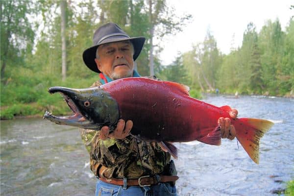 梦见超级大鱼是什么意思