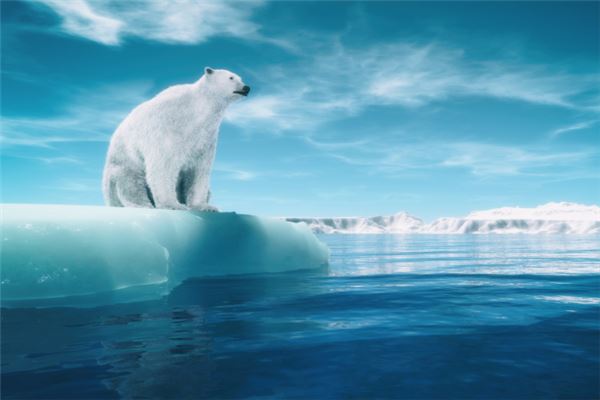 梦见白熊是什么意思