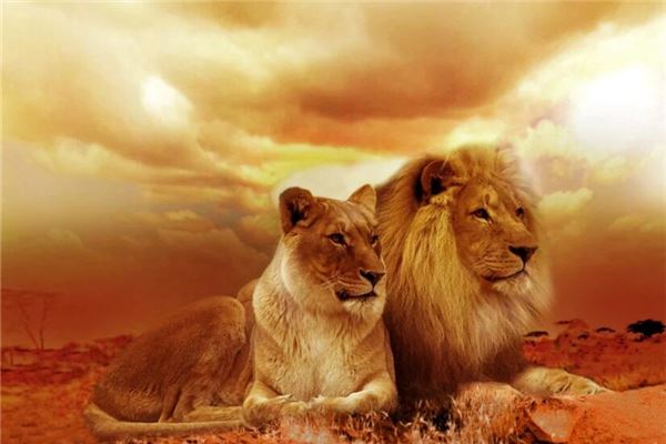 梦见狮子攻击自己是什么意思