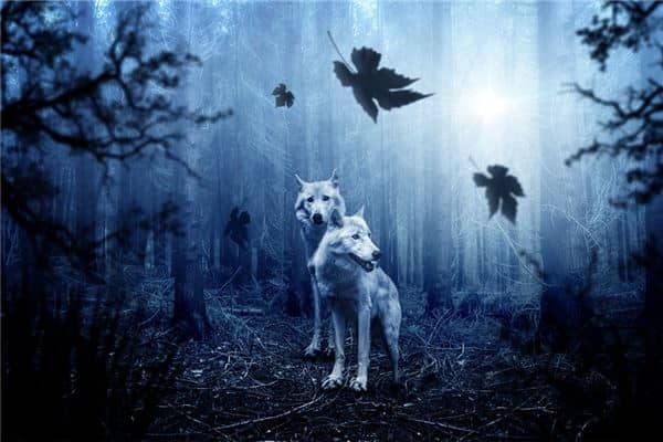 梦见两只狗在配种是什么意思