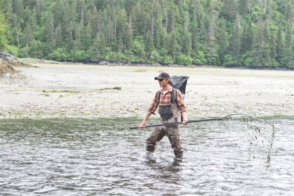 梦见网鱼是什么意思