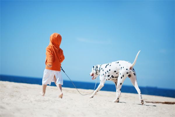 梦见狗撒尿是什么意思