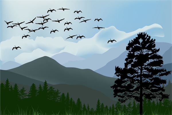 梦见很多鸟是什么意思