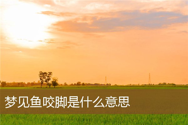 梦见鱼咬脚是什么意思