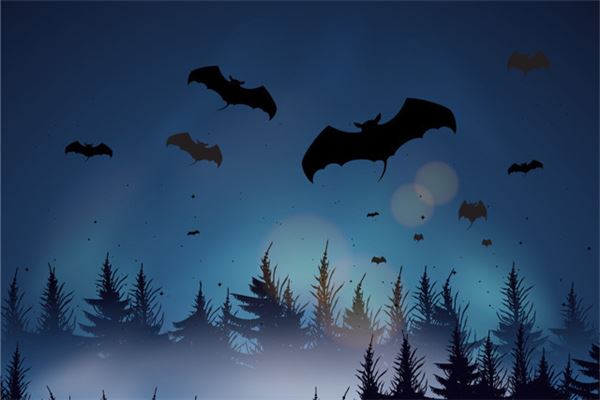 梦见死掉的蝙蝠是什么意思
