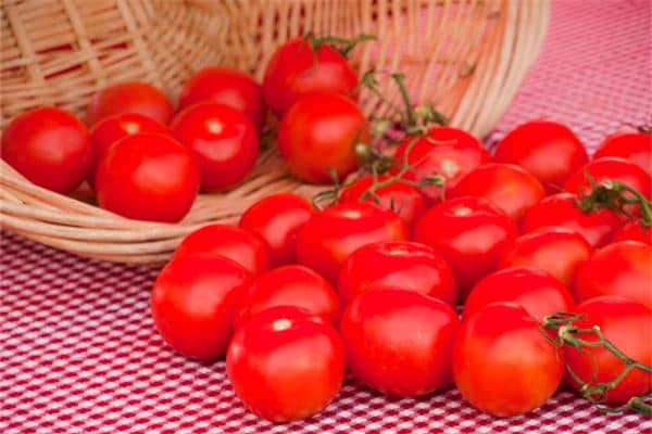 很多西红柿