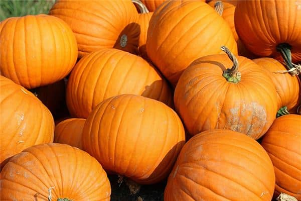 梦见孕妇南瓜是什么意思