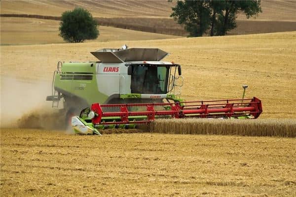 梦见收庄稼是什么意思