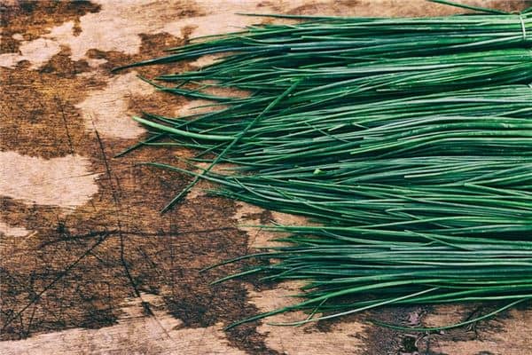 梦见一把韭菜是什么意思