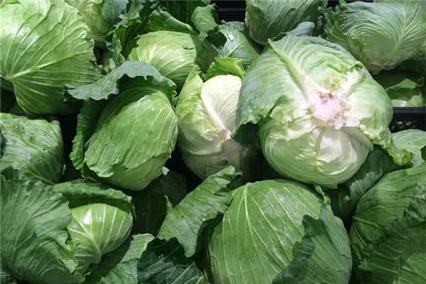 梦见成堆的大白菜是什么意思