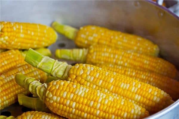 梦见煮玉米是什么意思
