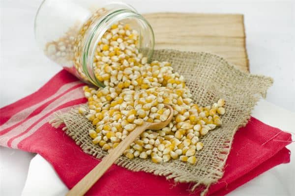 梦见玉米粒是什么意思