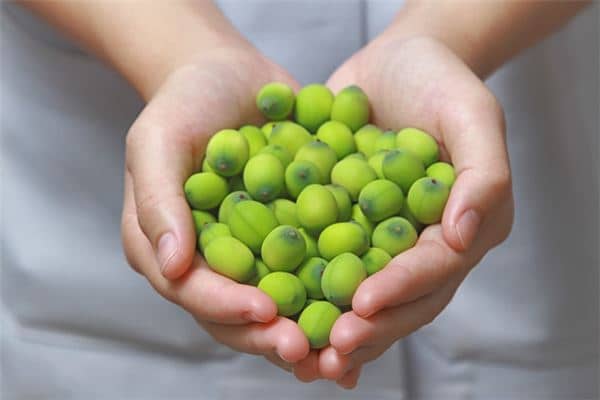 梦见莲子是什么意思