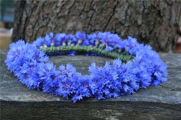 梦见花环是什么意思