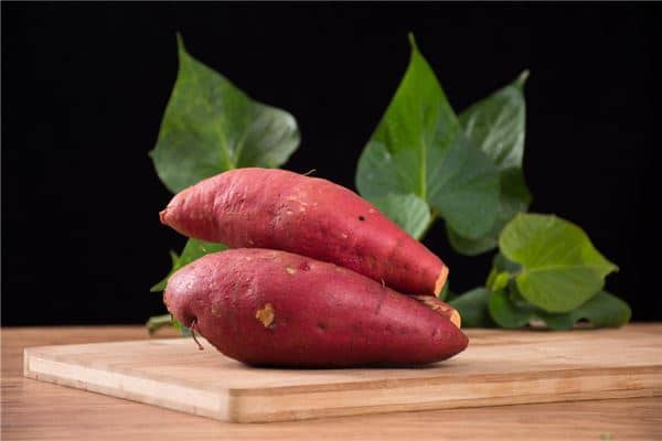 梦见墙上长红薯是什么意思