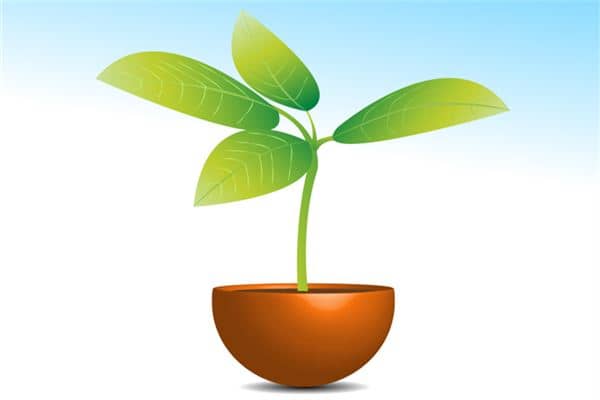 梦见绿色植物是什么意思