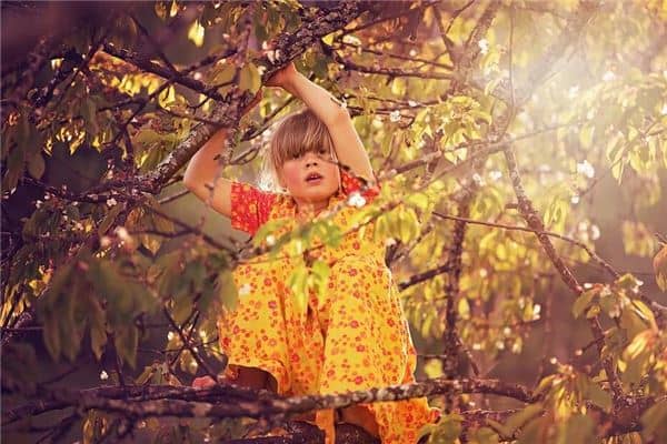 梦见上树是什么意思