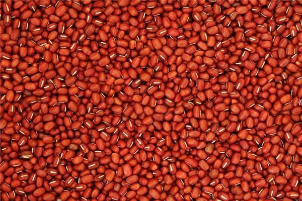 梦见红豆是什么意思