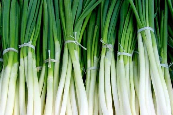 梦见绿色的葱是什么意思