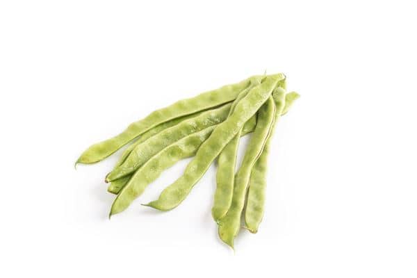 梦见豆角长势旺盛是什么意思