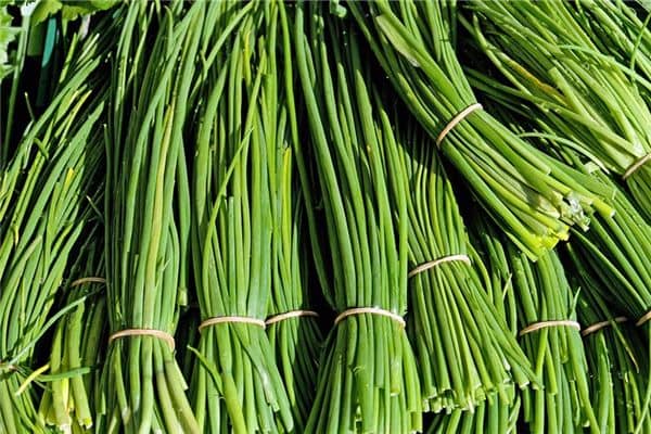 梦见成堆韭菜是什么意思