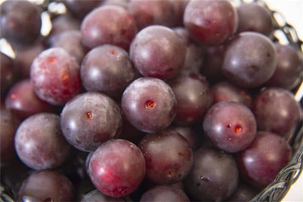 梦见吃李子是什么意思