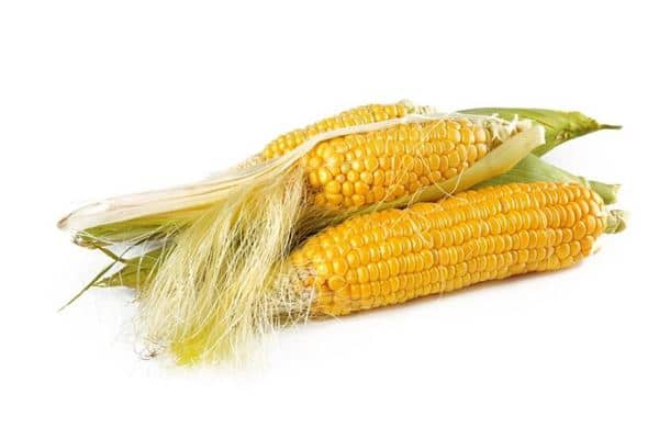 梦见掰玉米是什么意思