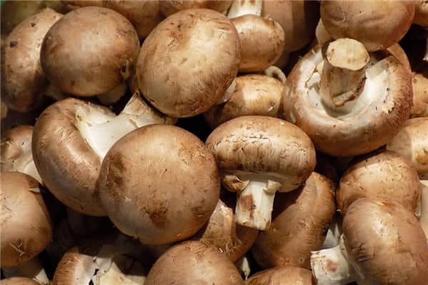 梦见香菇是什么意思