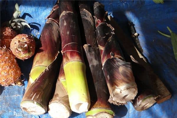 梦见自己挖竹笋是什么意思