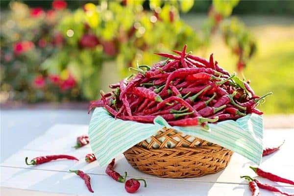 梦见已婚女人摘红辣椒是什么意思