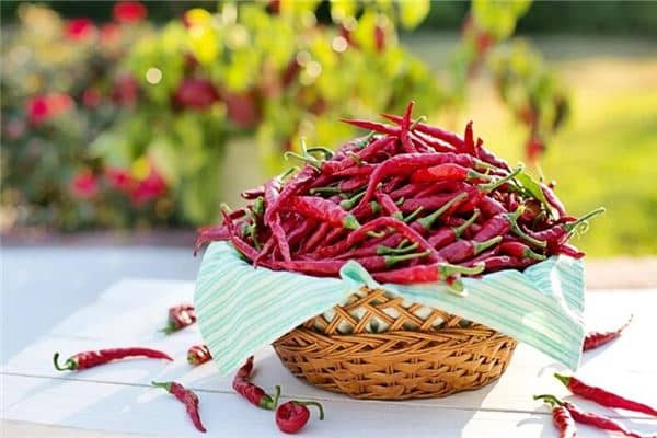 梦见做梦红辣椒是什么意思