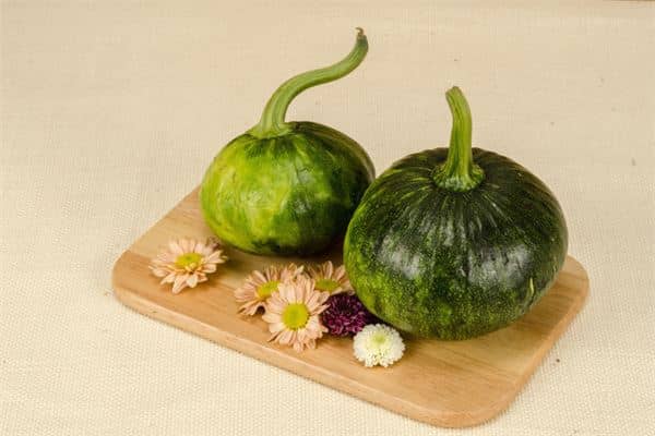 梦见窝瓜是什么意思