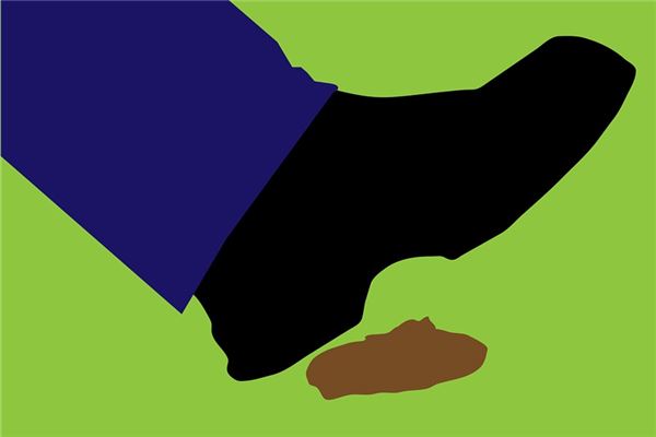 梦见走的路上有大便是什么意思