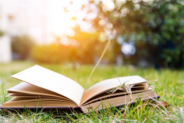 梦见书是什么意思