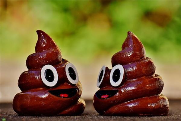 梦见粑粑是什么意思