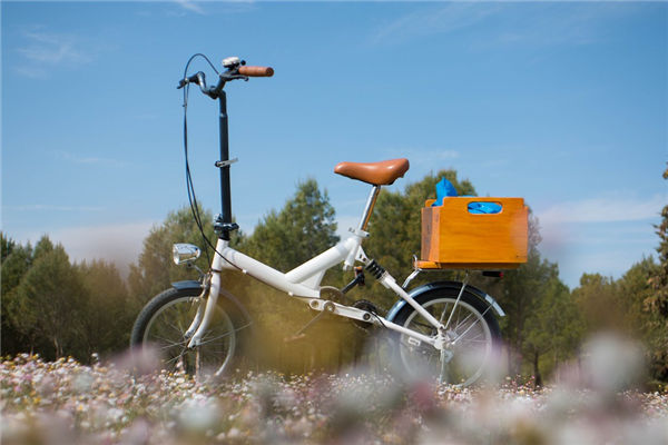 梦见单车是什么意思