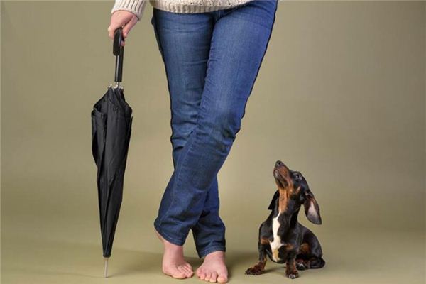 梦见合拢的伞是什么意思