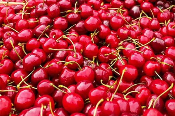 梦见樱桃是什么意思