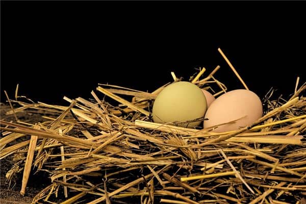 梦见蛋是什么意思