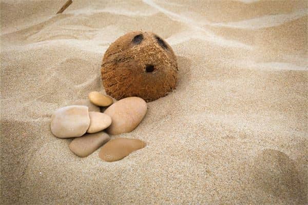 梦见石头是什么意思