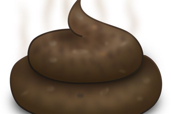 梦见粪桶是什么意思