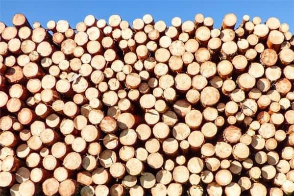 梦见女人好多柴禾是什么意思