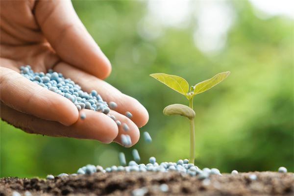 梦见白色化肥是什么意思