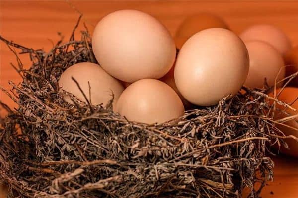 梦见女人一窝鸡蛋是什么意思