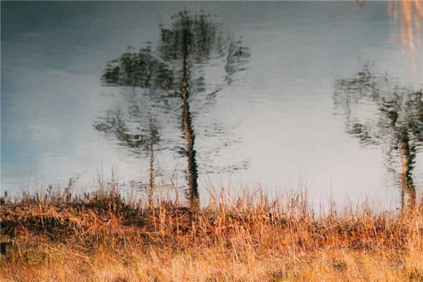 梦见脏水是什么意思